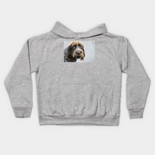 Portrait ~ Spinone Italiano dog Kids Hoodie